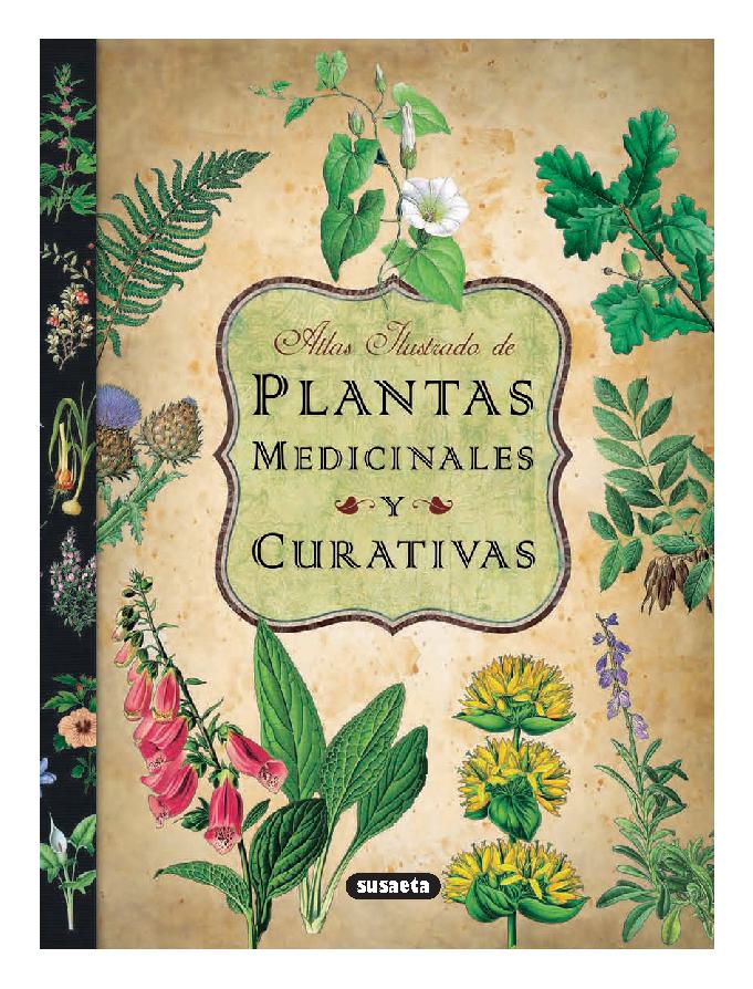 Plantas Medicinales y Curativas